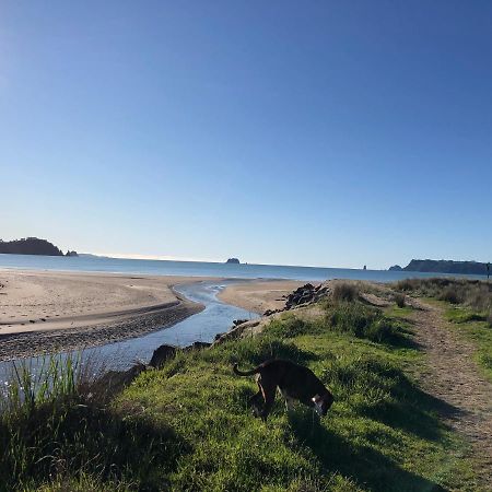 Buffalo Beach Luxury B N B Whitianga Eksteriør billede