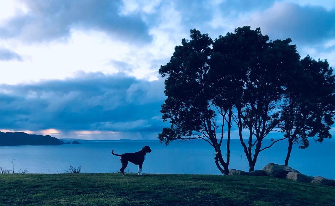 Buffalo Beach Luxury B N B Whitianga Eksteriør billede
